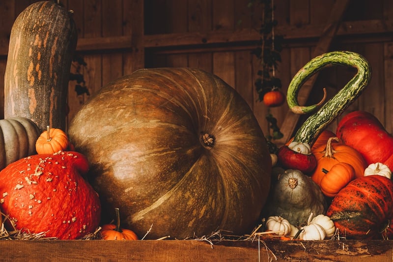 Post-harvest Handling